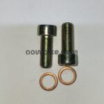 AOWBIKES Fork Pump Top Alenkey Bolt For Yamaha Rx