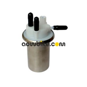 Fuel Pump Assembly for ZMR
